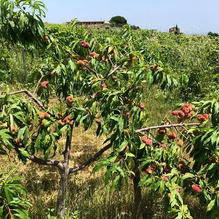 Donna Germana Frühstückspension 3*