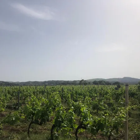 Donna Germana Frühstückspension