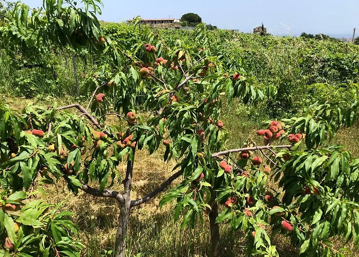 Donna Germana Bed and Breakfast 3*