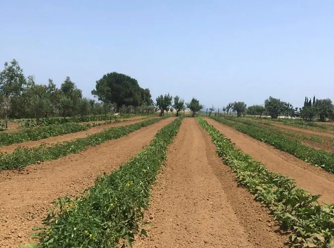 Donna Germana Bed and Breakfast Cirò Marina