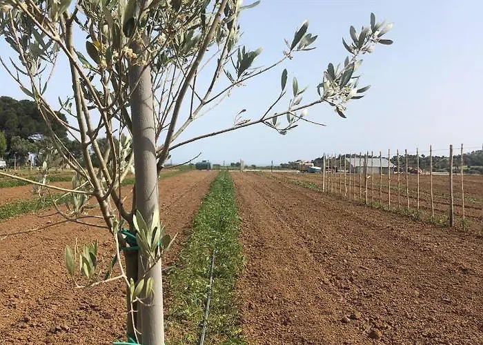 Donna Germana Bed and Breakfast