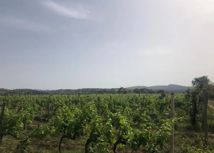 Donna Germana Bed and Breakfast